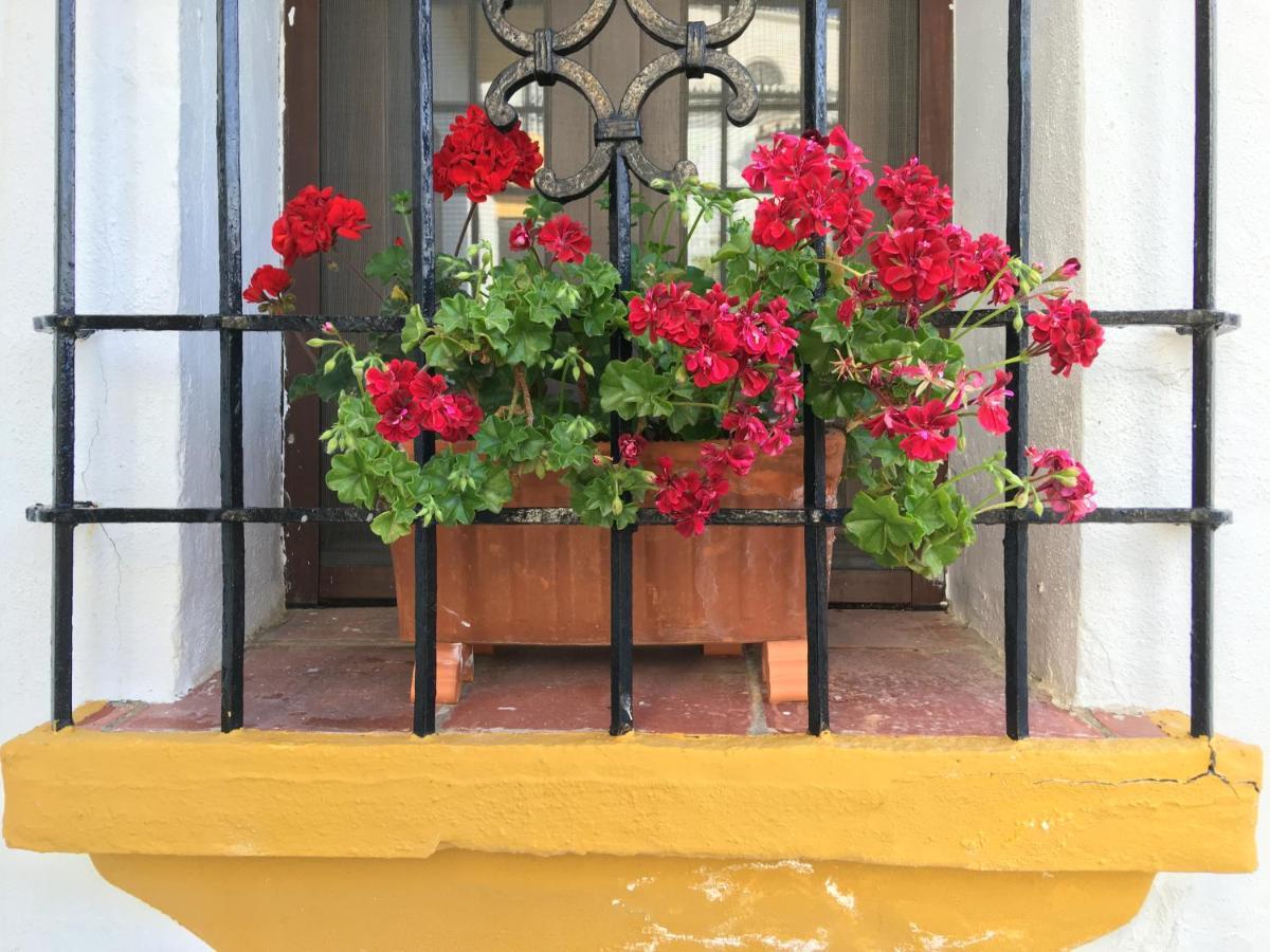 La Escondida Ronda, B&B Экстерьер фото