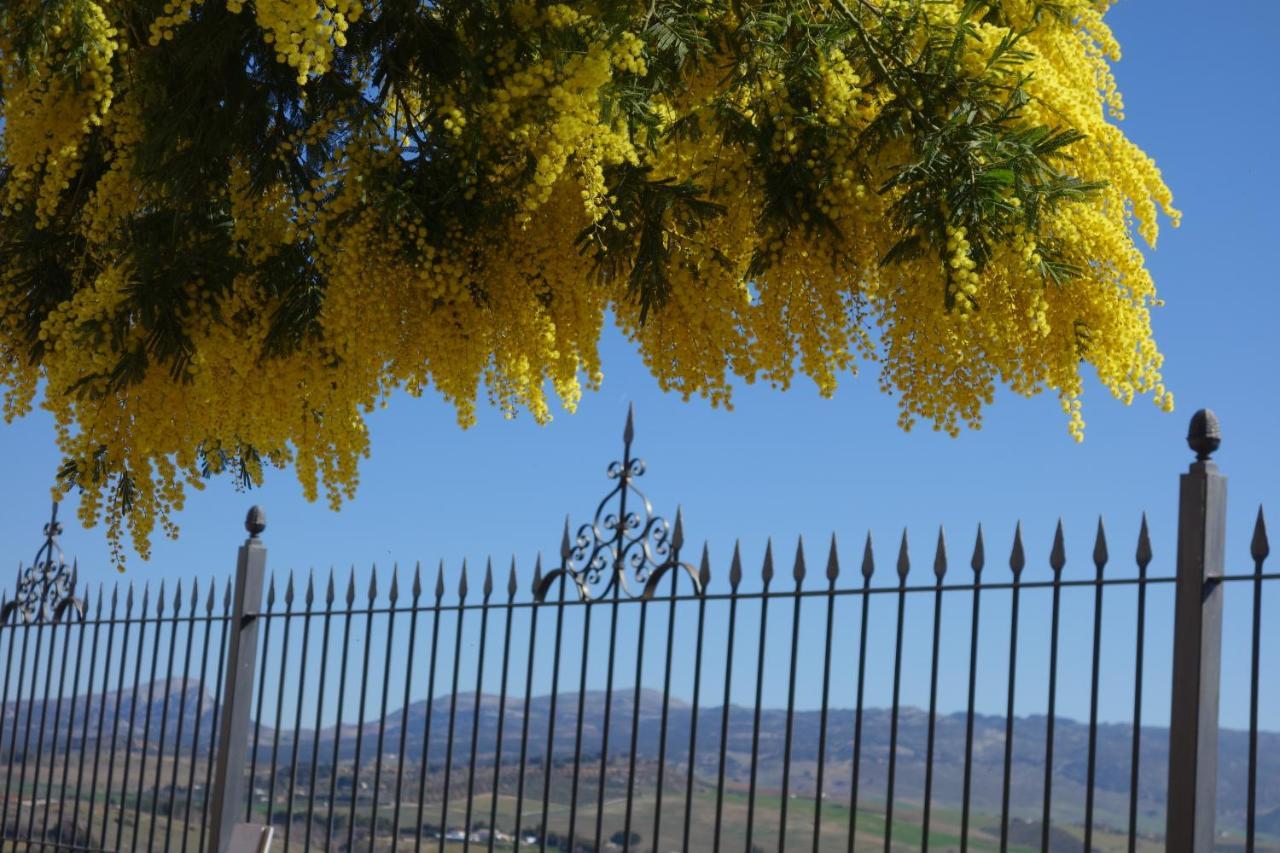 La Escondida Ronda, B&B Экстерьер фото